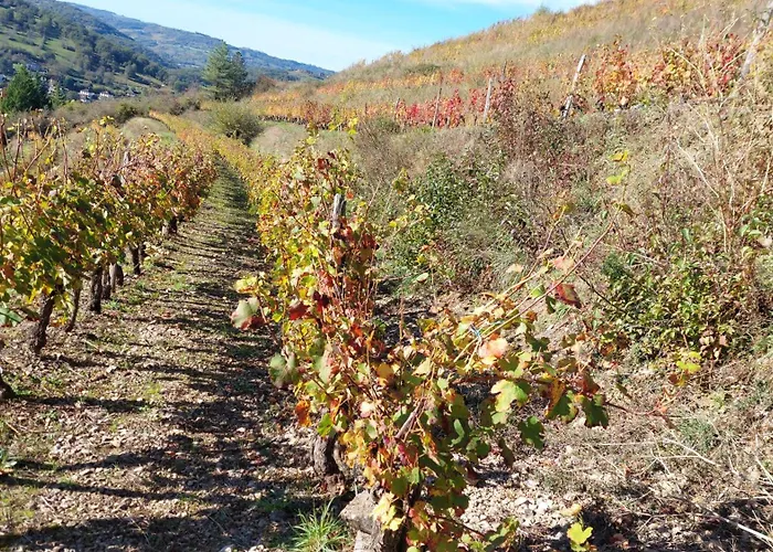 Maison Avec Vue Exceptionnelle Et Piscine Privative Semesterbostad Saint-Félix-de-Lunel