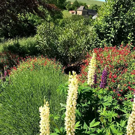 Maison Avec Vue Exceptionnelle Et Piscine Privative