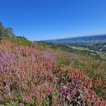 Maison Avec Vue Exceptionnelle Et Piscine Privative