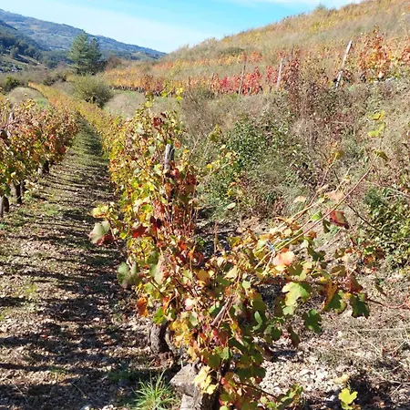 Maison Avec Vue Exceptionnelle Et Piscine Privative Casa vacanze Saint-Félix-de-Lunel