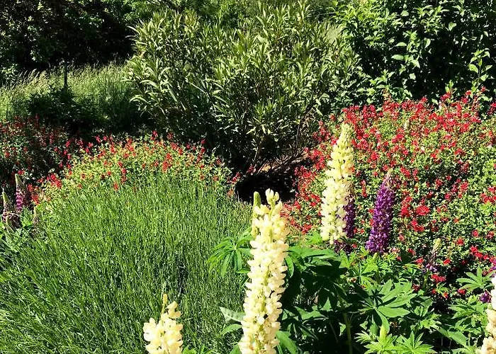 Maison Avec Vue Exceptionnelle Et Piscine Privative